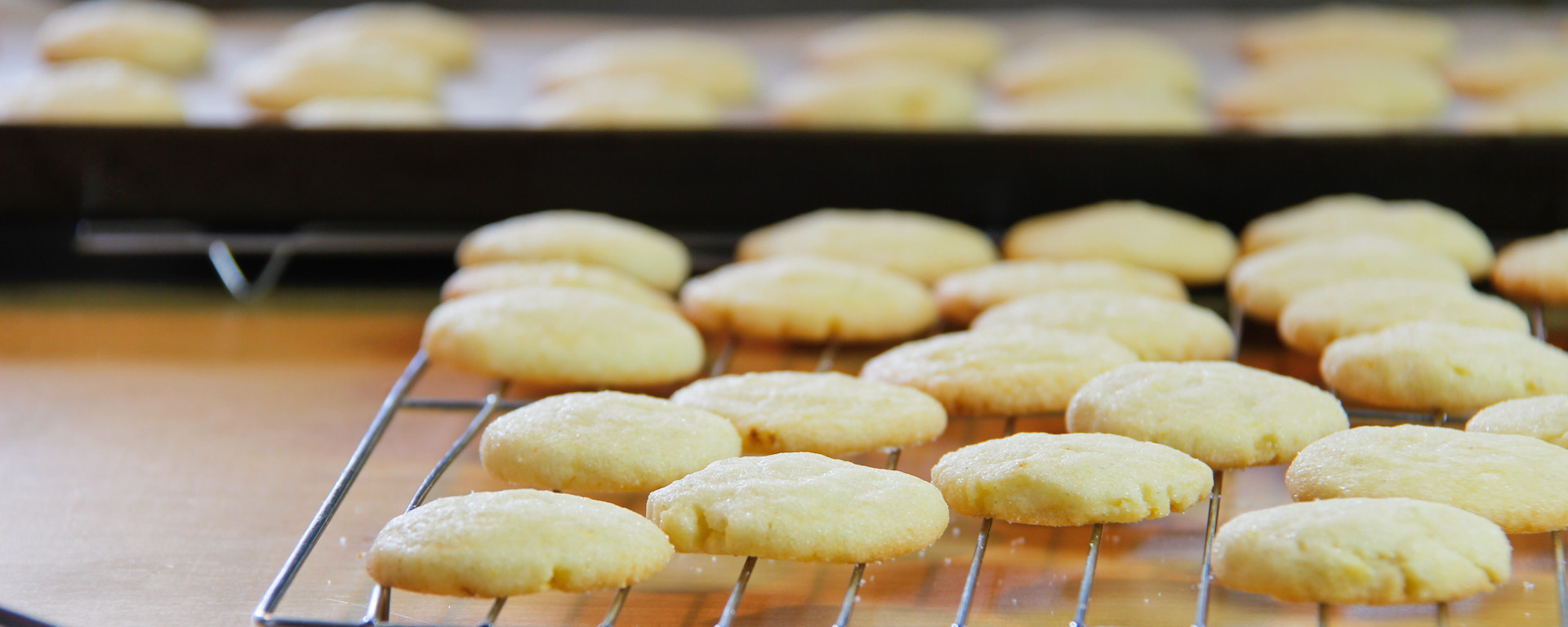 Biscuits à la Cardamome Sans Sucre – La Boite à Grains